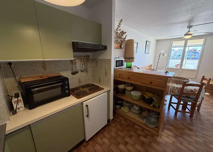 Appartement Grand T3 Avec Terrasse, Piscine Et Parking Pres De La - Fr-1-81-242 Le Barcarès